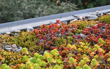 the cost of Sheepbridge green roof installation