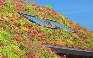 Sheepbridge living roof systems